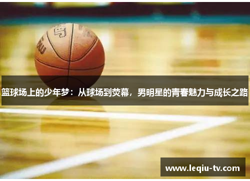 篮球场上的少年梦：从球场到荧幕，男明星的青春魅力与成长之路