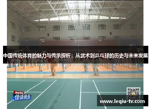中国传统体育的魅力与传承探析：从武术到乒乓球的历史与未来发展